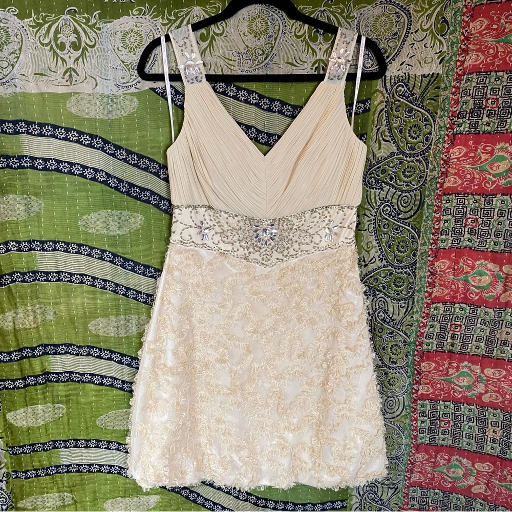 Sue Wong Nocturne Cream Embellished V-Neck Colume Mini Dress Size 10 - Picture 2 of 16
